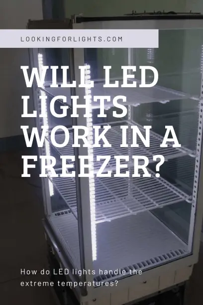 Will LED Lights Work in a Fridge or Freezer