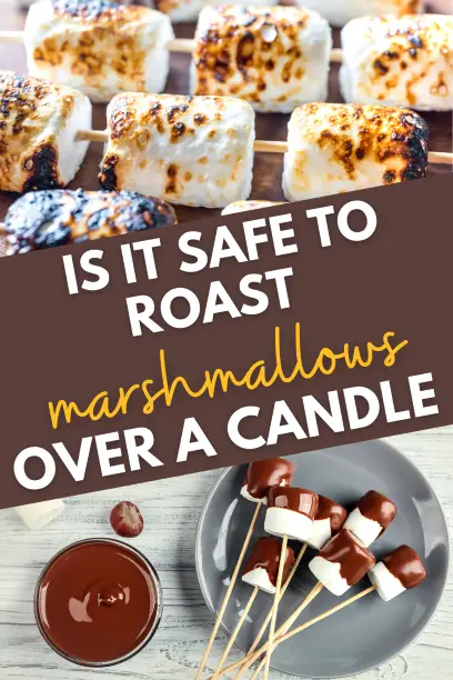 Is it Safe to Roast Marshmallows over a Candle, Lighter, or Gas Stove