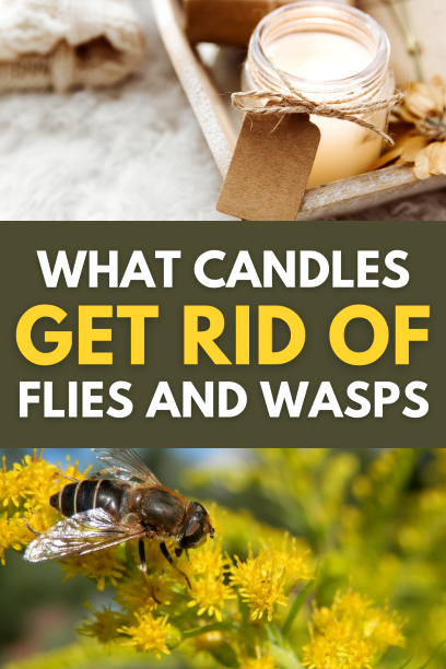 What Candles Get Rid of Flies, Gnats, Mosquitos and Wasps