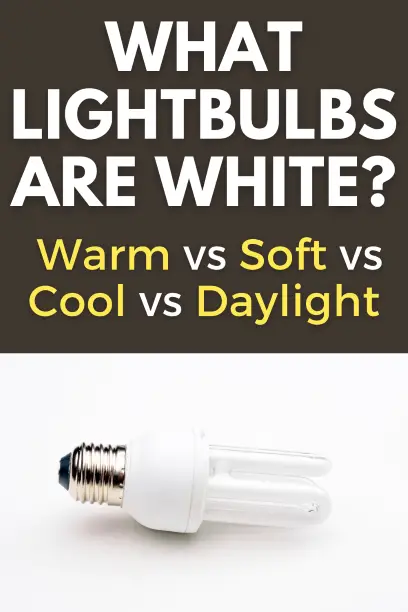 What Lightbulbs are White Warm vs Soft vs Cool Vs Daylight