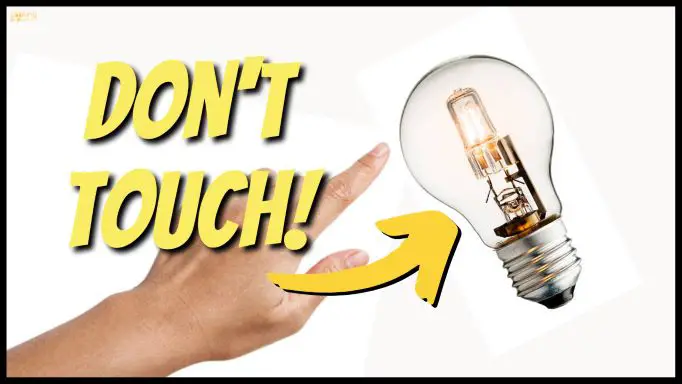 Can You Touch A Halogen Bulb (Explained!)