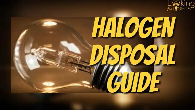 Halogen Light Bulbs A Complete Disposal Guide!