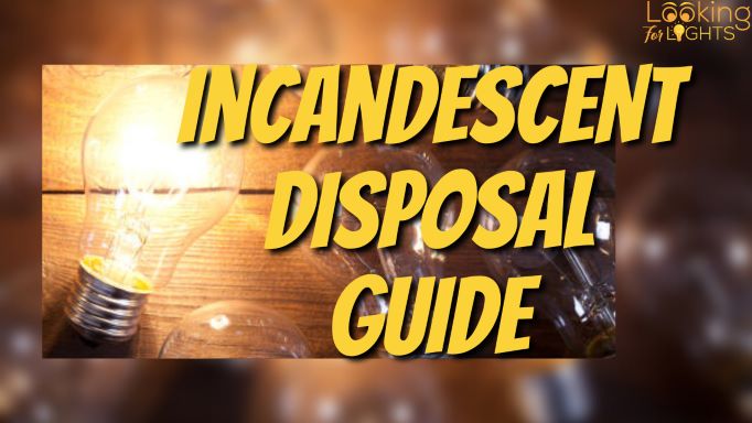 Incandescent Light Bulbs A Complete Disposal Guide!