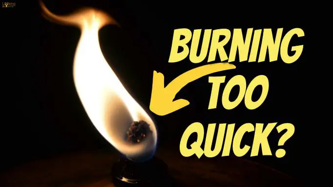 Oil Lamp Wick Burning Fast (Here’s Why With Solution!)