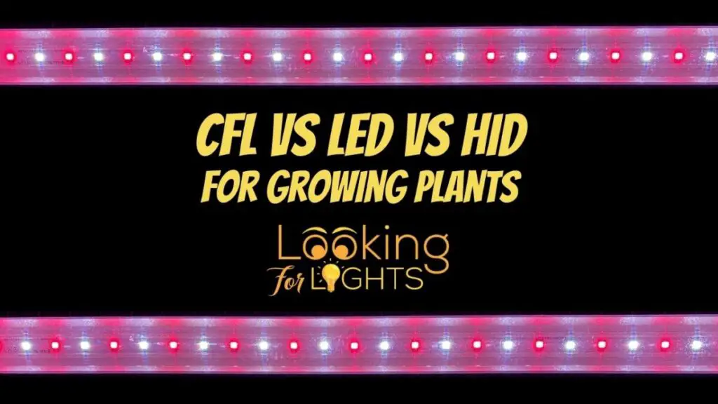 CFL vs LED vs HID for Growing Plants