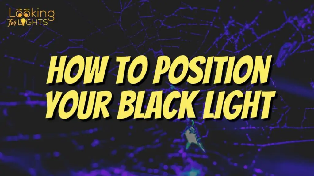 How to Position Your Black Light