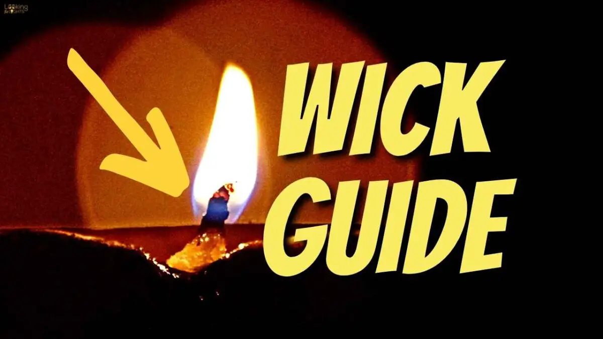 Best Wick For Olive Oil Lamp August 29, 2024 Looking for Lights